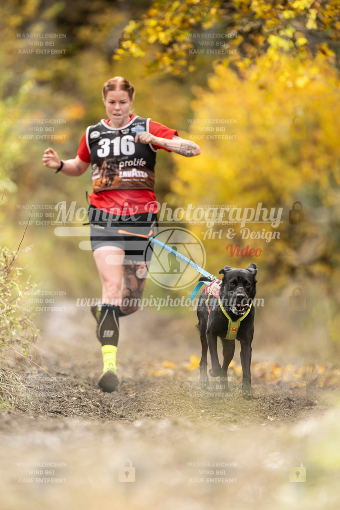 MompixPhotography_ICF_WC_2024_SA_Run_-214 | PayLife