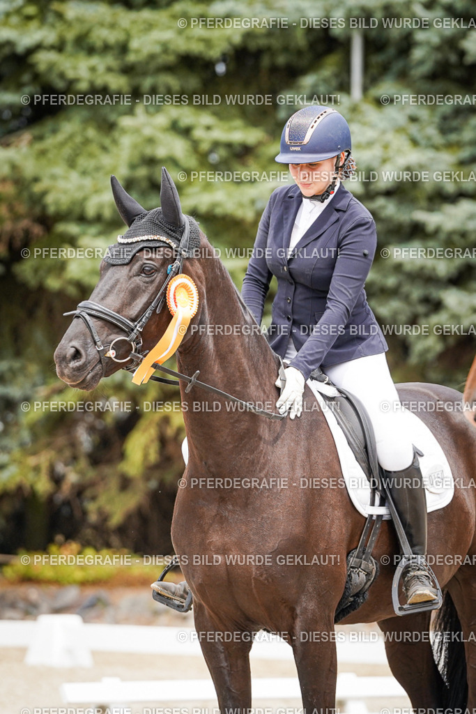 DSC04543 | Pferdegrafie