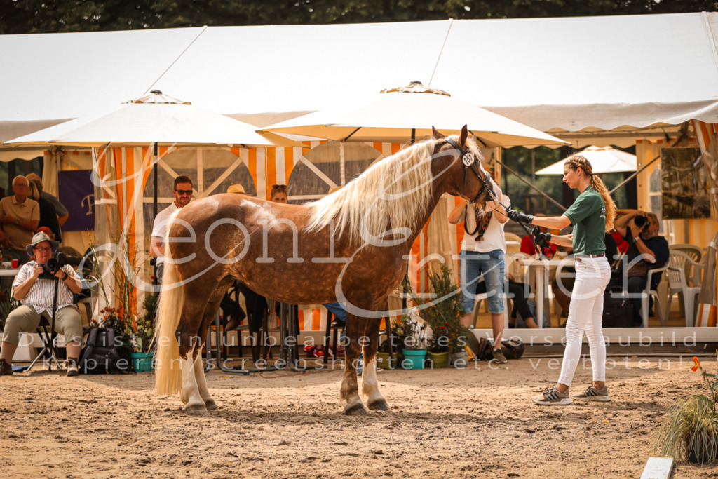 5.Sa00017 | Leoni Ertmer Photography - Realisiert mit Pictrs.com