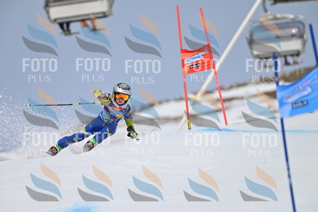 BGV_4724 | holidayphoto