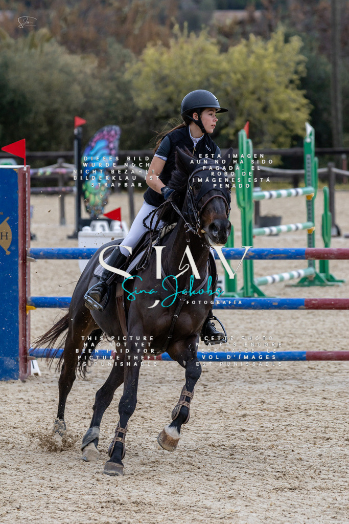 IMG_4146 | s-jay-photography - Realisiert mit Pictrs.com