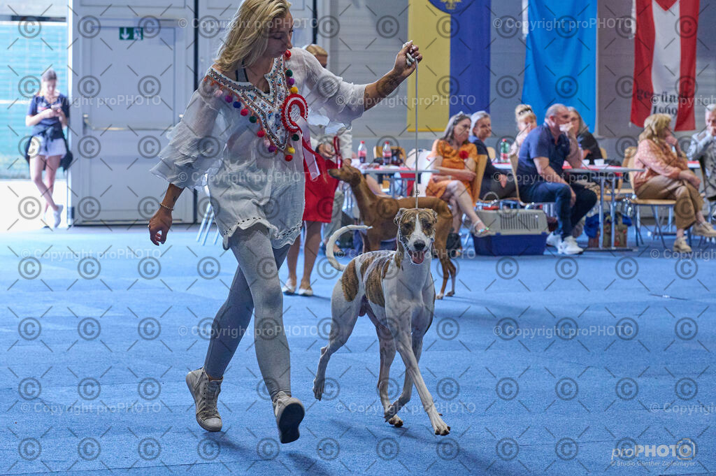 202406_ÖKV-IHA-Tulln24_DSC_5202 | proPHOTO - Realisiert mit Pictrs.com