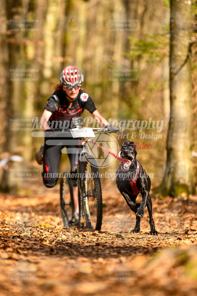 MompixPhotography_Habay2025_SA_SCO-21 | PayLife