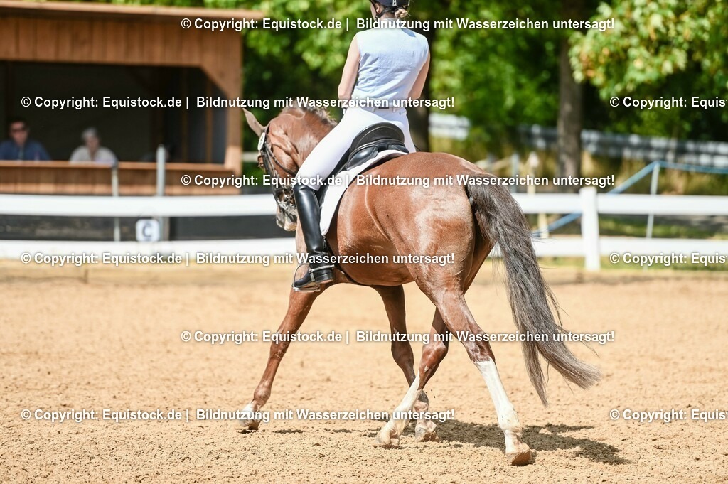 20230716_01_Dressurprüfung Kl.M_0249 | equistock