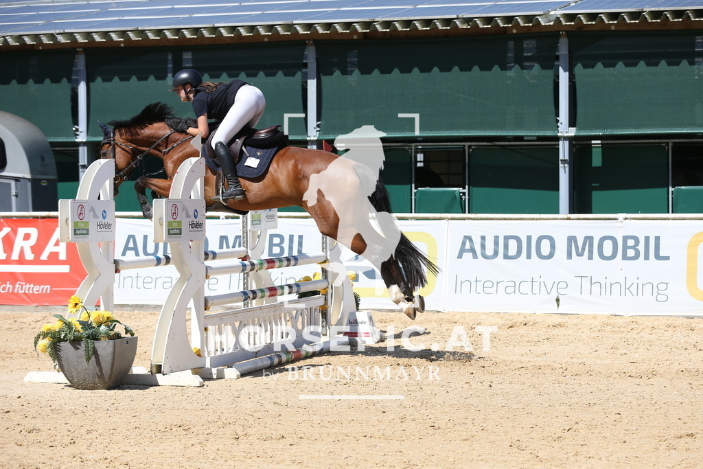 DL2Q9623 | Willkommen bei Brunnmayr - Design & Fotografie – Ihrem Spezialisten für Reitturniere und Pferdeveranstaltungen in Oberösterreich, Salzburg und Bayern! Seit über 17 Jahren sind wir leidenschaftlich dabei.
