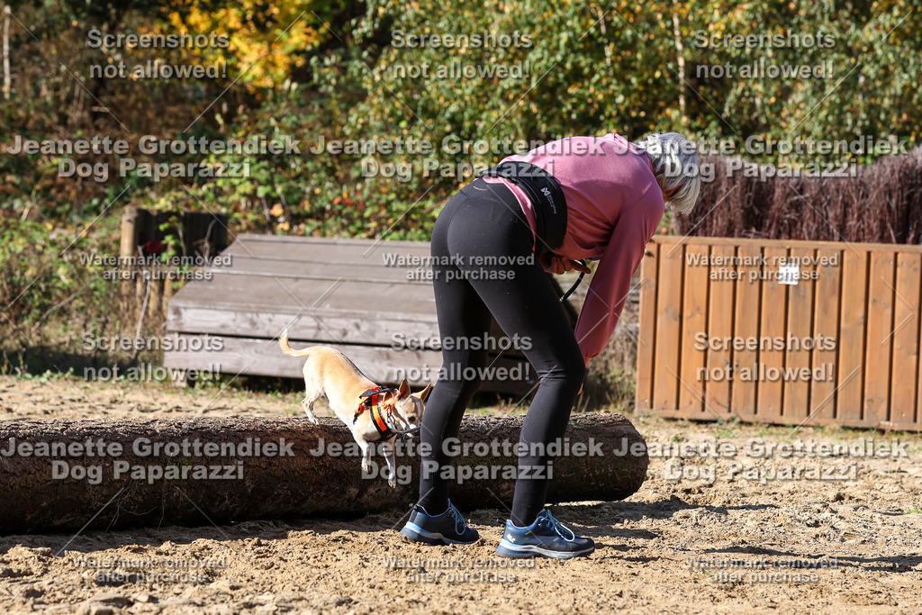 Dog Paparazzi - Strongdog 10-25-4715 | Dog Paparazzi Jeanette Grottendiek Fotografie & Videografie - Realisiert mit Pictrs.com
