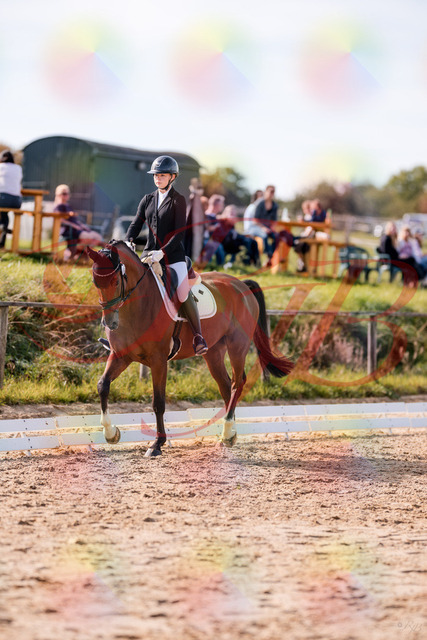 2026_10_03_Siefer-Hof_131527_Z81_63648505 | Professionelle Reitsport-, Turnier- und Eventfotografie von Robert Broda. Galerien mit ausgewählten und bearbeiteten Bildern direkt online ansehen und bestellen.