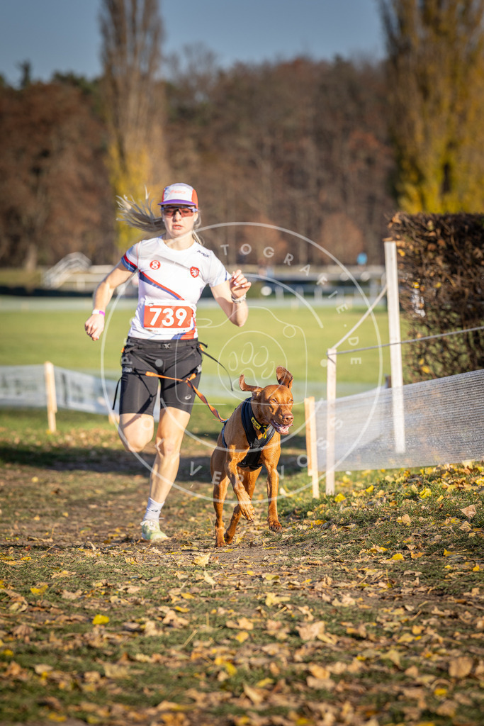 CaniXpix_DV3A2201 | Hundefotografie, Tierfotograf, Pfotenfotografie, Fotoshooting Hund, Hunde Portrait, Hundesport, Hundeportraits, Heideshooting, Hunde, Sportfotograf, Hundefotograf, Turnierhundsport, THS,  - Realisiert mit Pictrs.com