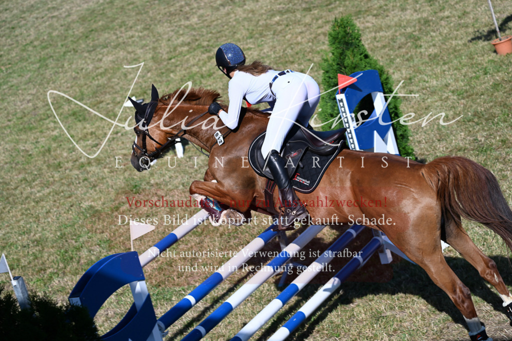 DSC_2289 | Pferde- und Turnierfotografie in Westsachsen. Pferdeportraits, Auftragszeichnungen und intuitive Kunst.