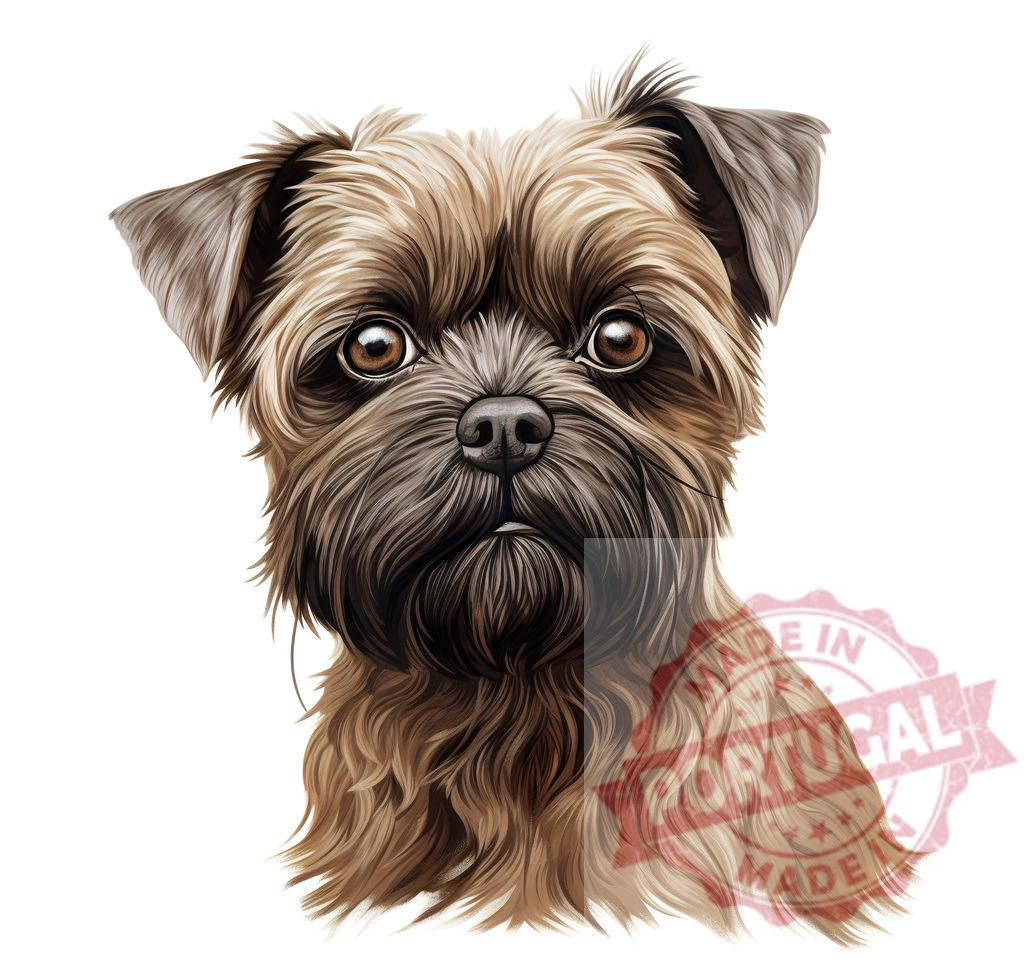 Border Terrier dog puppy portrait illustration on white | Professional artful dog portraits Border Terrier puppy looking at viewer on a white background - Realisiert mit Pictrs.com