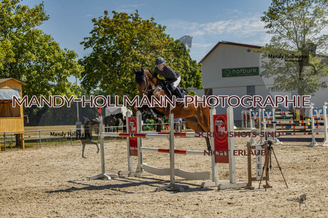 26-7-24 SPF M+-706 | mandyhollmannphotographie