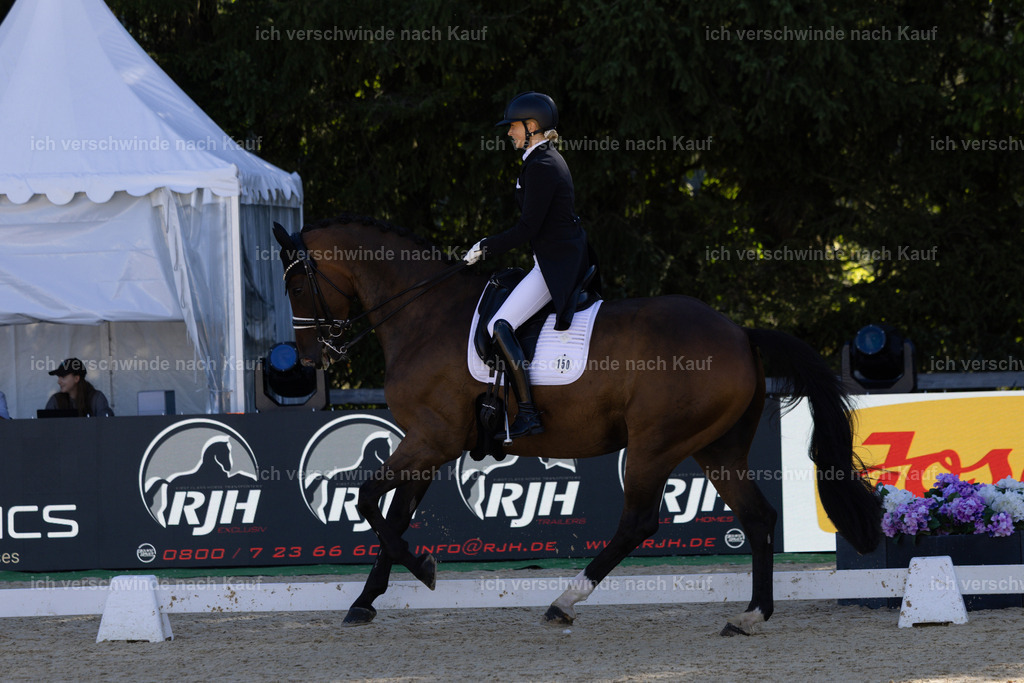 FHC2026_P07_150_17255 | working equitationturnier fotograf videograf stoibphotography marixx film working equitation deutschland reitsport turnierfotografie eventfotografie equestrian events