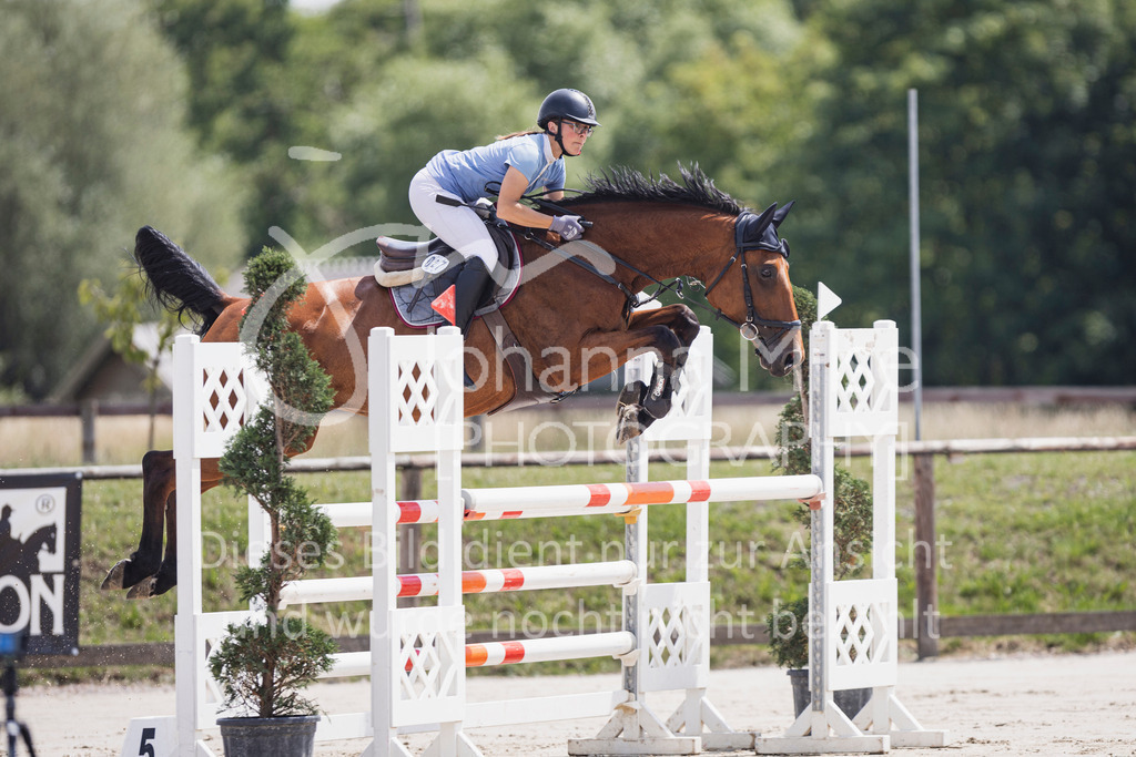 250629_PfSpTa_L-Spr2-403 | Deine schönsten Turniermomente als professionelle Fotos! Entdecke hochwertige Pferdesport-Fotografie im Online-Shop. Jetzt Fotos finden & bestellen!