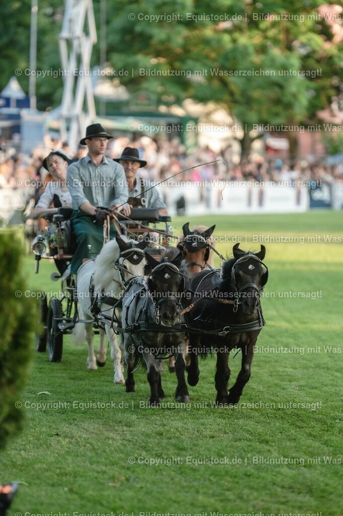 20230526_Pferdenacht_0161 | equistock