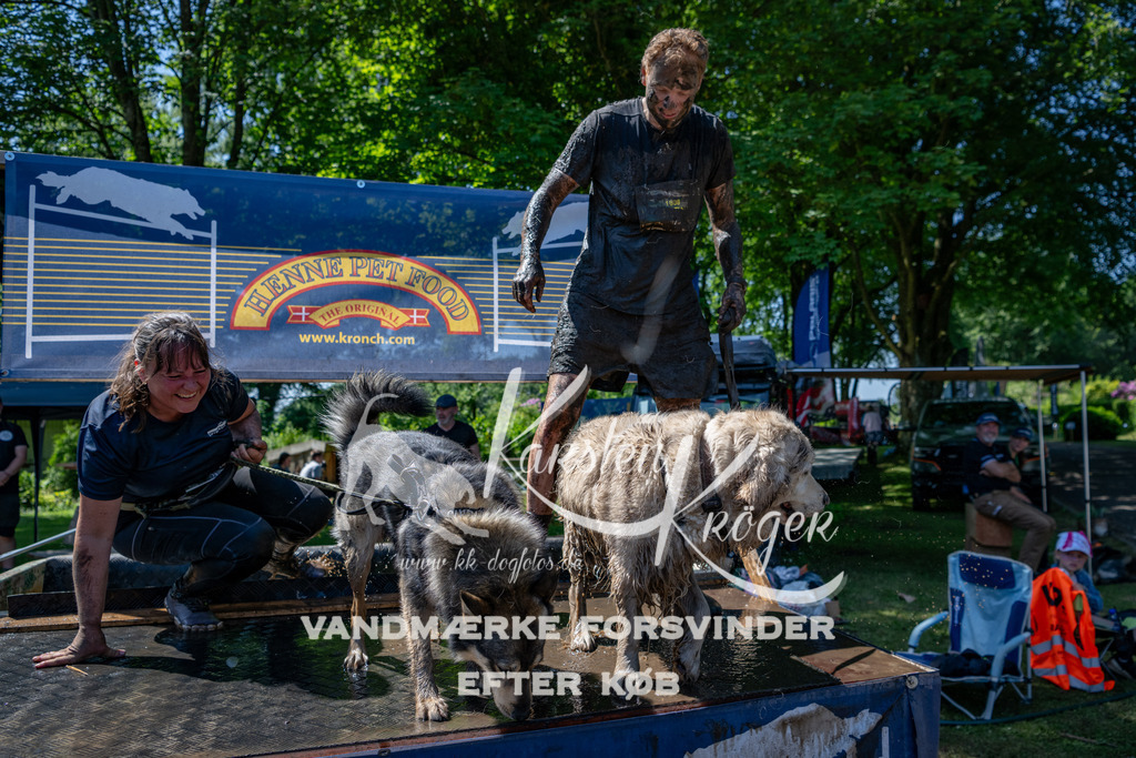 1251_ZZ90152 | kk-dogfotos