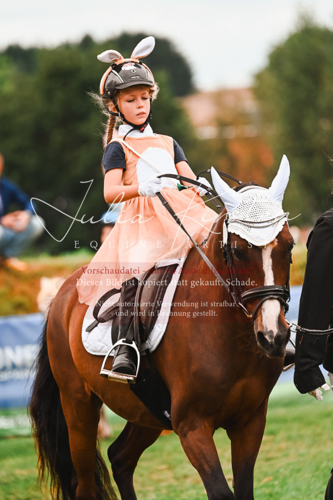 DSC_7427 | Pferde- und Turnierfotografie in Westsachsen. Pferdeportraits, Auftragszeichnungen und intuitive Kunst.