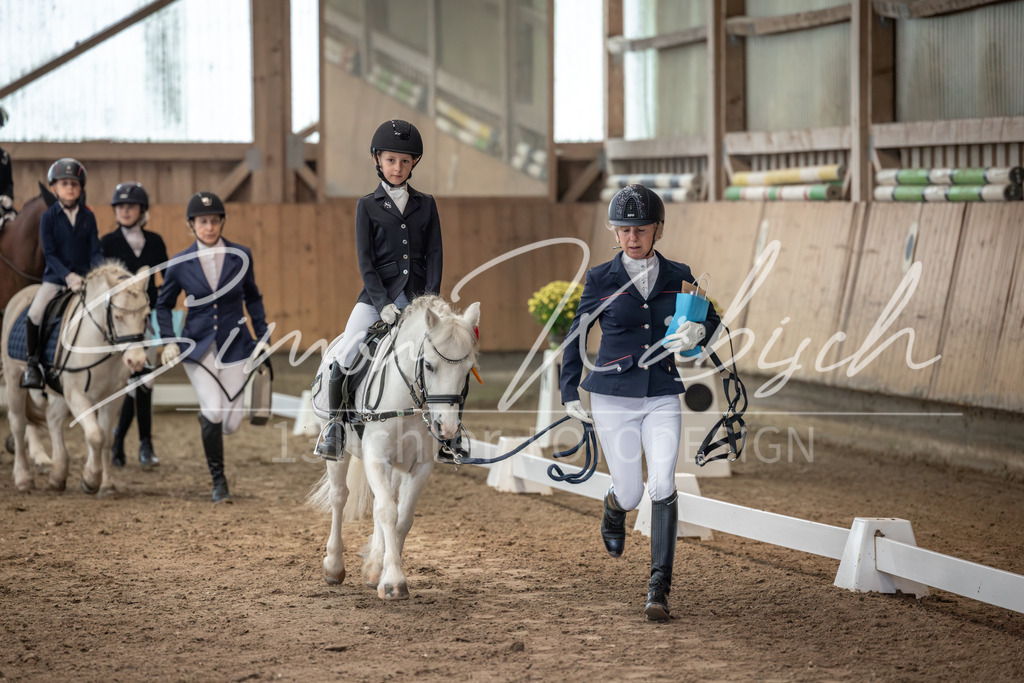 20251011-_3LI8849 | Tierfotografie Pferde, Hunde, Katzen, Haustiere.
Turnierfotografie Reitturniere, Reiten, Springreiten, Dressur in Hanau, dem Main-Kinzig-Kreis und dem Rhein-Main- Gebiet um Frankfurt