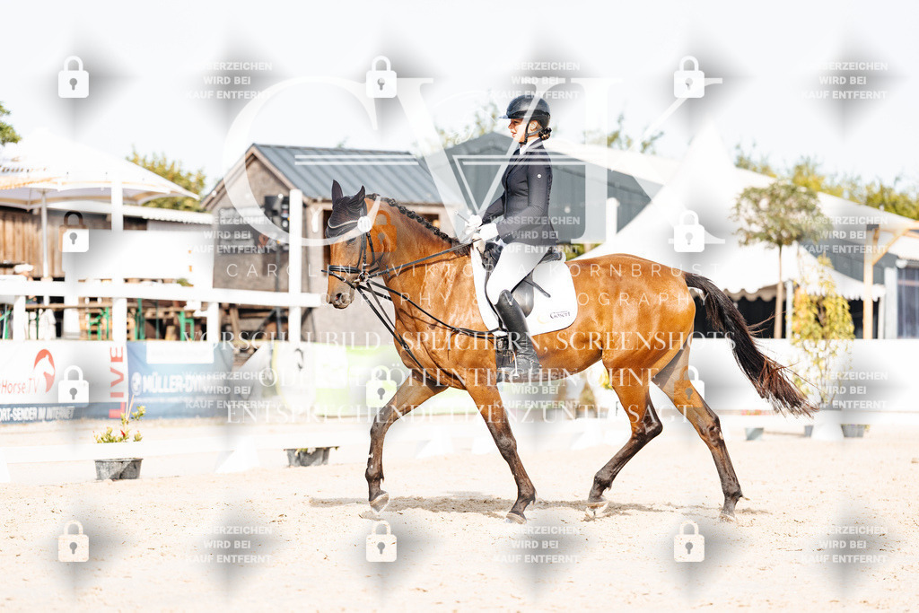 CK904963 | Turnierfotografie Pferdefotografie Trier Rheinland-Pfalz Pferdesport Reitsport Tierfotografie Sportfotografie Pferdevideo Pferdevideografie Equestrianvideography equestrianphotography  - Realisiert mit Pictrs.com