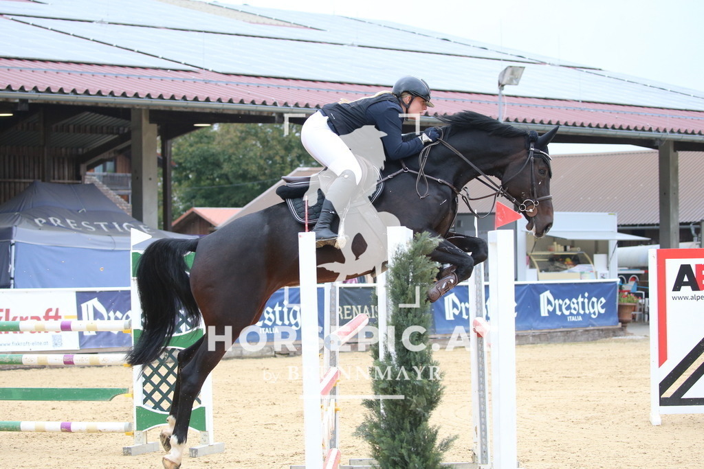 DL2Q1029 | Willkommen bei Brunnmayr - Design & Fotografie – Ihrem Spezialisten für Reitturniere und Pferdeveranstaltungen in Oberösterreich, Salzburg und Bayern! Seit über 17 Jahren sind wir leidenschaftlich dabei.