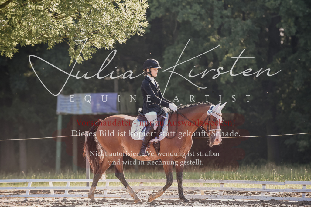 DSC_7760 | Pferde- und Turnierfotografie in Westsachsen. Pferdeportraits, Auftragszeichnungen und intuitive Kunst.