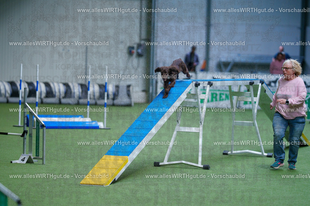 @allesWIRTHgut_Tierfotografie - www.allesWIRTHgut.de - 2604260826-7R506909 | Professionelle Tierfotografie in Mönchengladbach von Daniel Wirth (allesWIRTHgut). Liebevolle & natürliche Bilder von Hunden & Katzen für unvergessliche Erinnerungen.