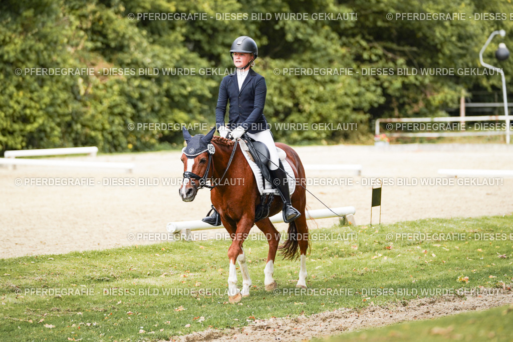 DSC03896 | Pferdegrafie