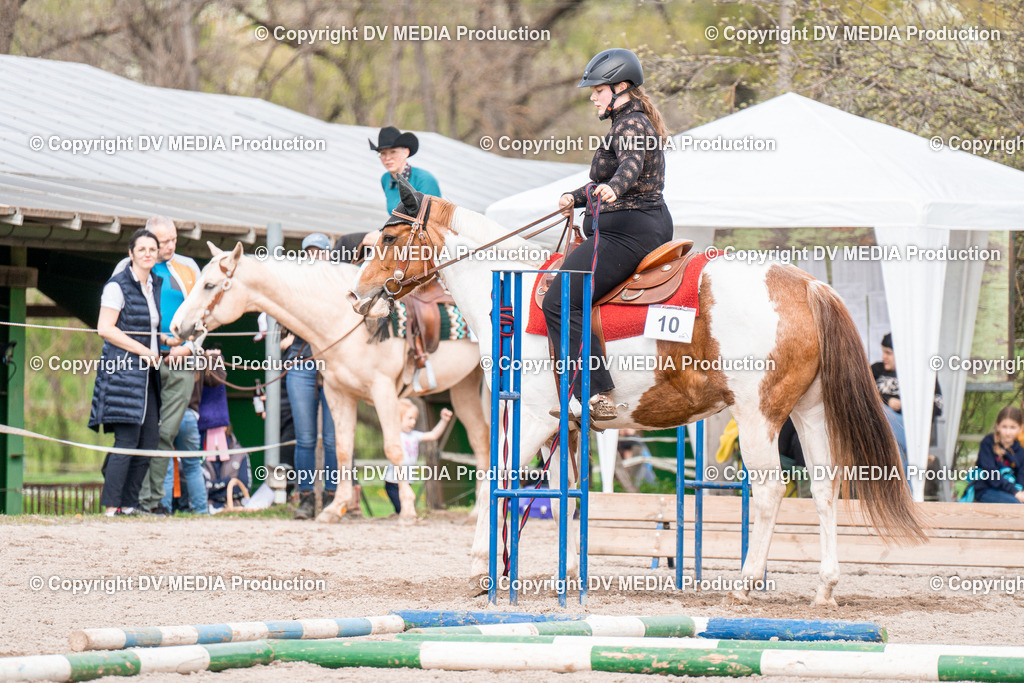 BAL02604 | dv-media-shop - Realisiert mit Pictrs.com