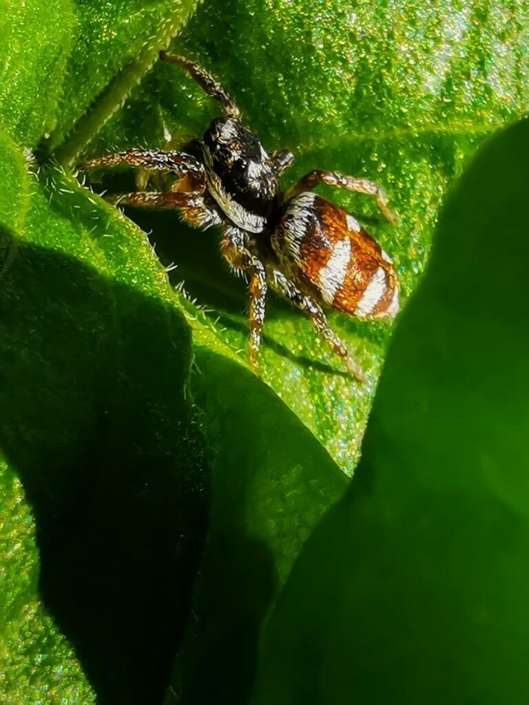 PSX_20221005_223910 | mtkfoto_ - Realisiert mit Pictrs.com