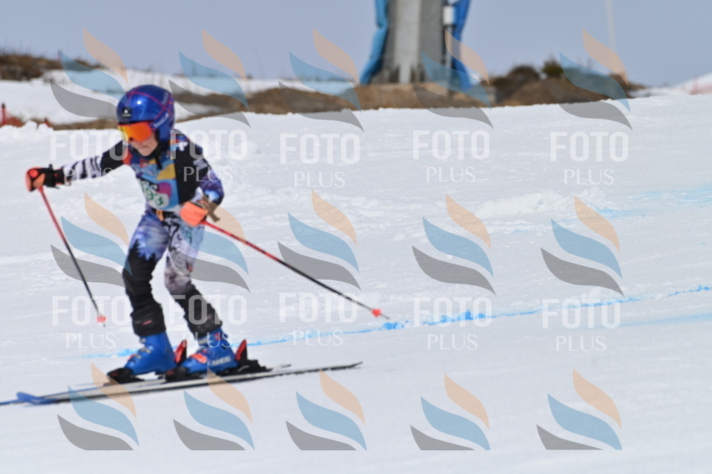 BGV_3722 | holidayphoto