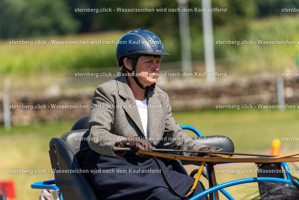 2026-08-09_12-36-05_WBO_Pulsnitz | sternberg.click - Realisiert mit Pictrs.com