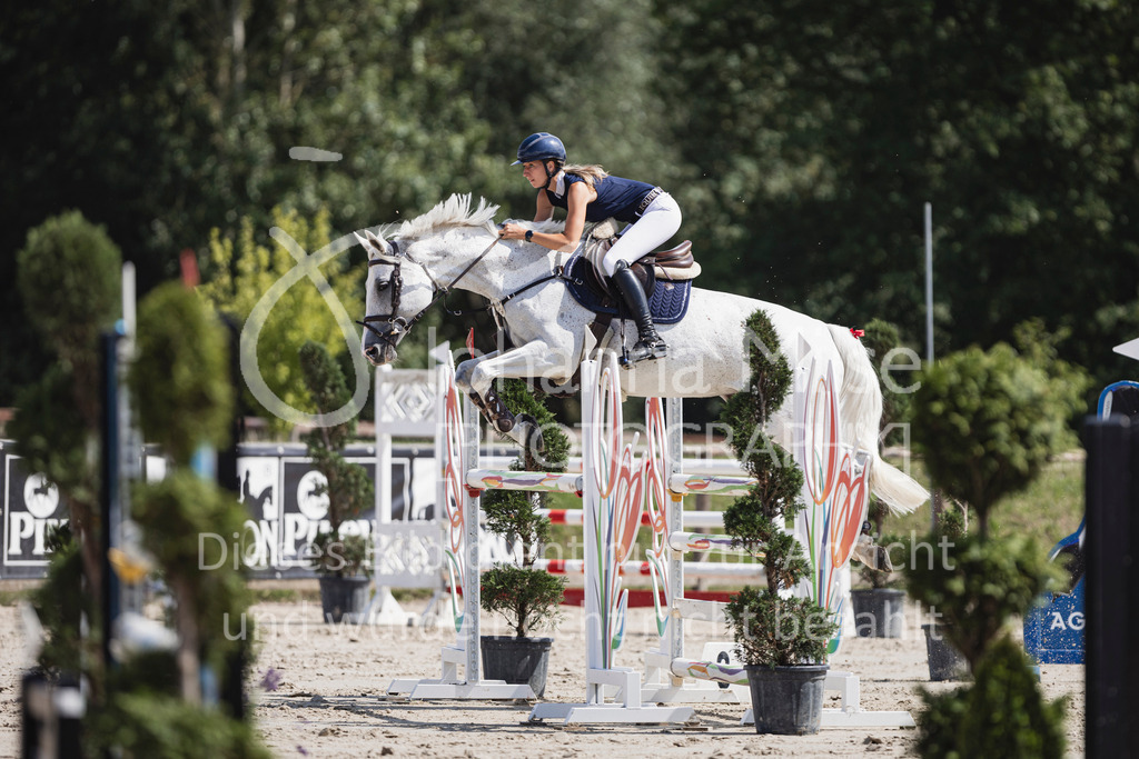 250629_PfSpTa_2Ph-M1-788 | Deine schönsten Turniermomente als professionelle Fotos! Entdecke hochwertige Pferdesport-Fotografie im Online-Shop. Jetzt Fotos finden & bestellen!