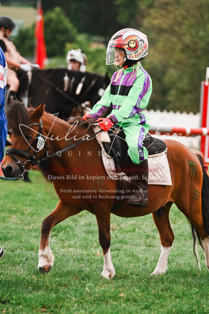 DSC_7519 | Pferde- und Turnierfotografie in Westsachsen. Pferdeportraits, Auftragszeichnungen und intuitive Kunst.