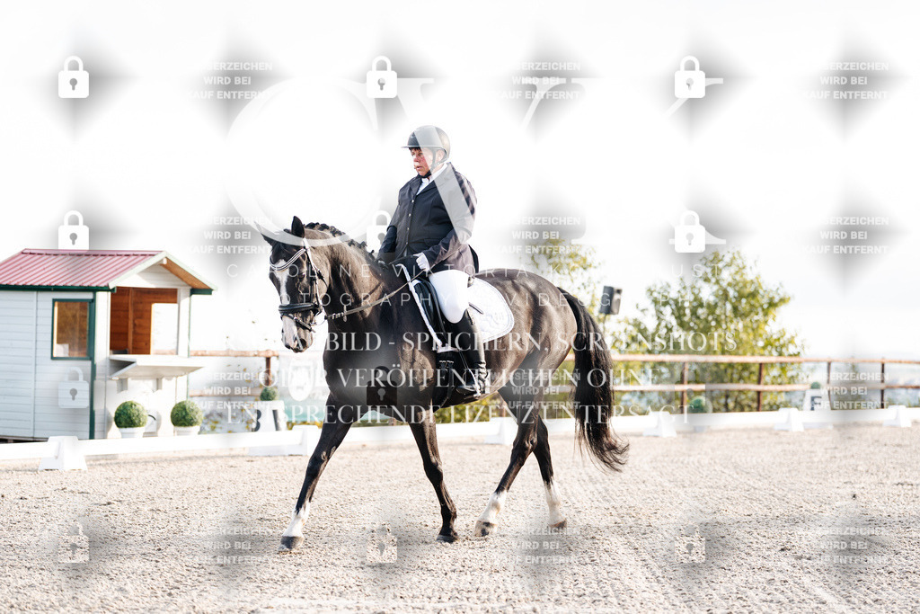 CK900273 | Turnierfotografie Pferdefotografie Trier Rheinland-Pfalz Pferdesport Reitsport Tierfotografie Sportfotografie Pferdevideo Pferdevideografie Equestrianvideography equestrianphotography  - Realisiert mit Pictrs.com