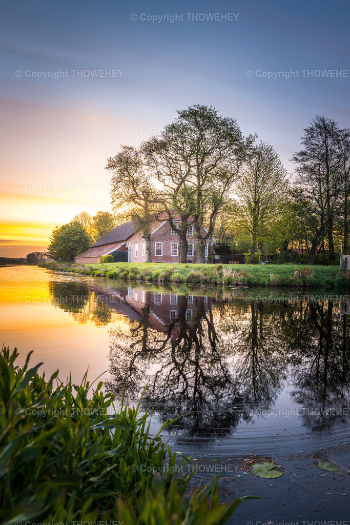 _1034599 | thowehey - Realisiert mit Pictrs.com