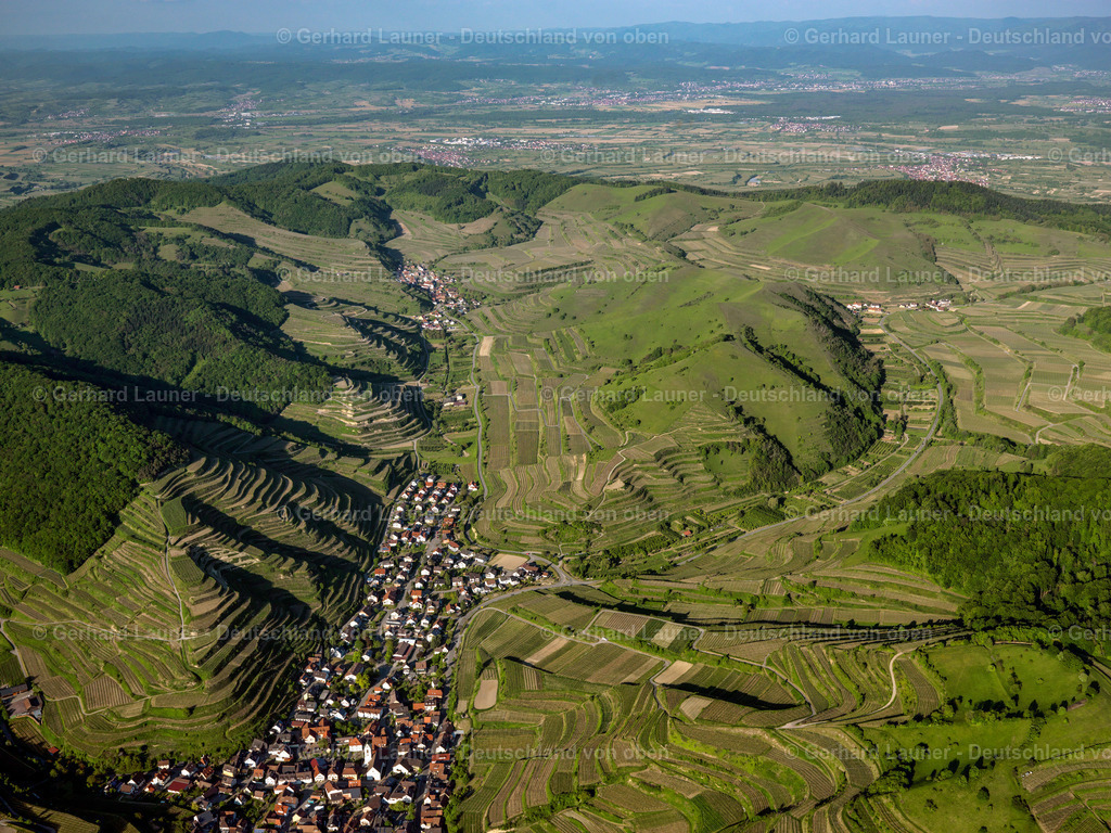 3096069 | Badberg und Schelingen am Kaiserstuhl