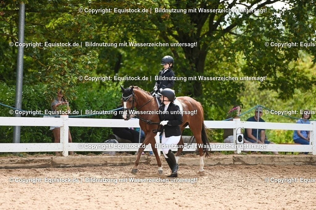 20230716_11_Führzügel-WB_0184 | equistock