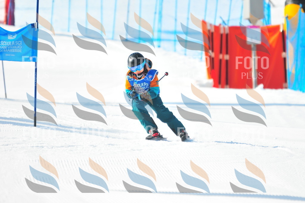 B8819 | holidayphoto