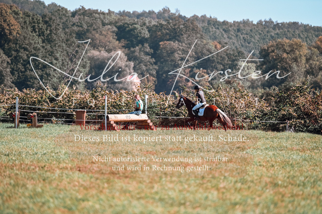 DSC_0935 | Pferde- und Turnierfotografie in Westsachsen. Pferdeportraits, Auftragszeichnungen und intuitive Kunst.