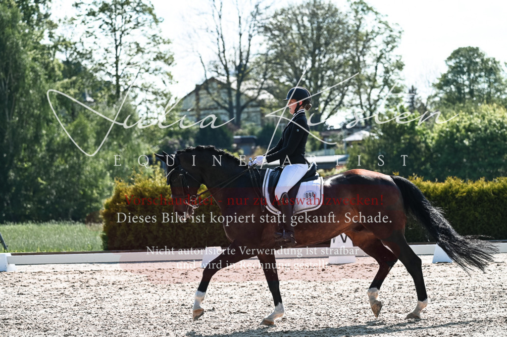 20230514_JK-Röhrsdorf-18-382 | Pferde- und Turnierfotografie in Westsachsen. Pferdeportraits, Auftragszeichnungen und intuitive Kunst.