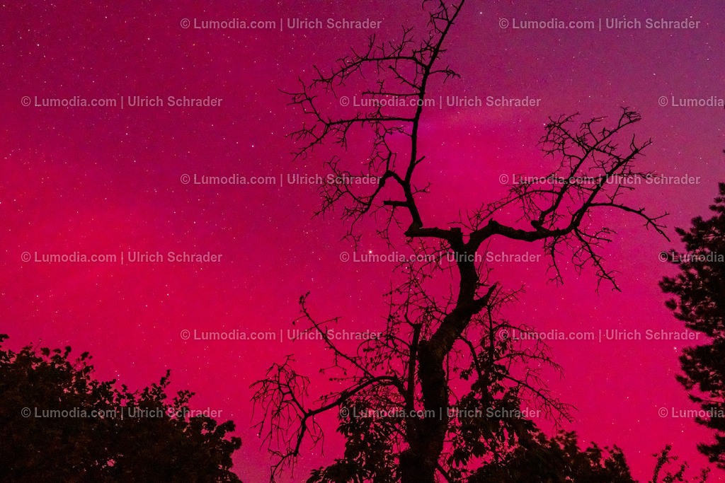 10049-13301 - Aurora Borealis | Stockfoto und Bilderpool mit Bildmaterial aus Deutschland, dem Harz, Halberstadt, Quedlinburg, Wernigerode und weltweit. Qualitativ hochwertige und professionelle Fotos anschauen und kaufen. - Realisiert mit Pictrs.com