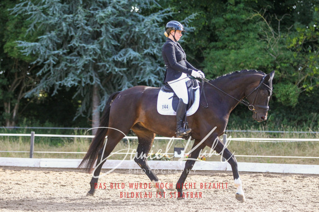 DKP45508 | Turniersportfotografie; Pferdefotografie; Dressurfotografie