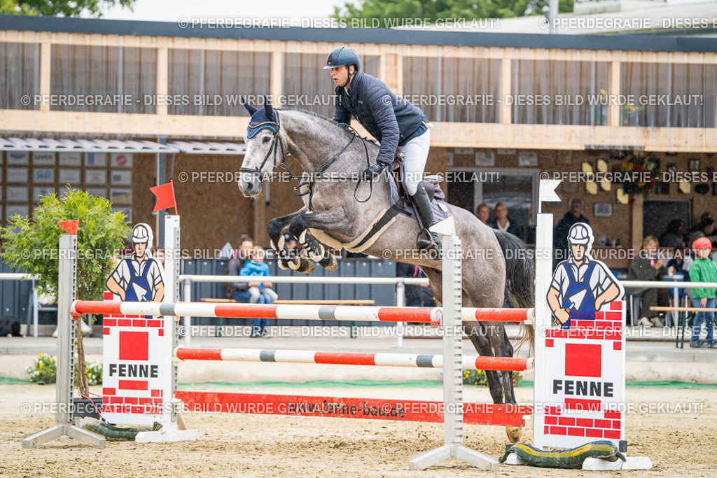 DSC02851 | Pferdegrafie