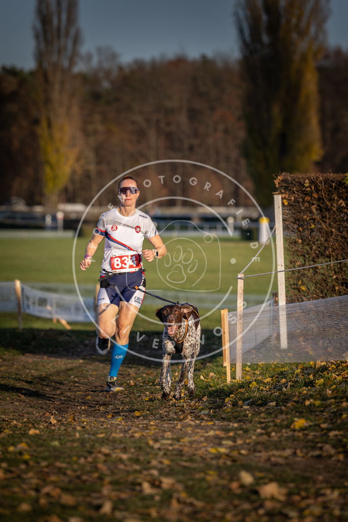 CaniXpix_DV3A3486 | Hundefotografie, Tierfotograf, Pfotenfotografie, Fotoshooting Hund, Hunde Portrait, Hundesport, Hundeportraits, Heideshooting, Hunde, Sportfotograf, Hundefotograf, Turnierhundsport, THS,  - Realisiert mit Pictrs.com