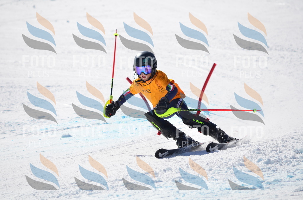 C9744 | holidayphoto