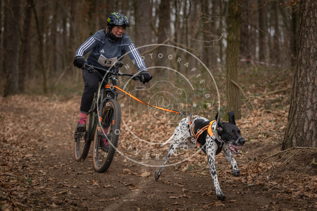 Pfotenfotografie_DV3A7027 | Hundefotografie, Tierfotograf, Pfotenfotografie, Fotoshooting Hund, Hunde Portrait, Hundesport, Hundeportraits, Heideshooting, Hunde, Sportfotograf, Hundefotograf, Turnierhundsport, THS,  - Realisiert mit Pictrs.com