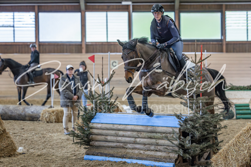 20260222-_3LI1987 | Tierfotografie Pferde, Hunde, Katzen, Haustiere.
Turnierfotografie Reitturniere, Reiten, Springreiten, Dressur in Hanau, dem Main-Kinzig-Kreis und dem Rhein-Main- Gebiet um Frankfurt
