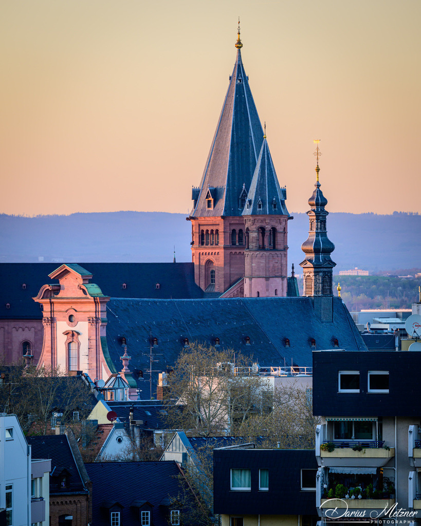 Der Mainzer Dom St Martin | Der hohe Dom St Martin zu Mainz