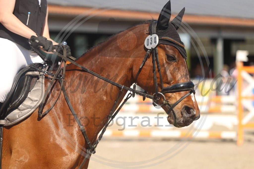 994A6011 | sabrinanicolaifotografie - Realisiert mit Pictrs.com