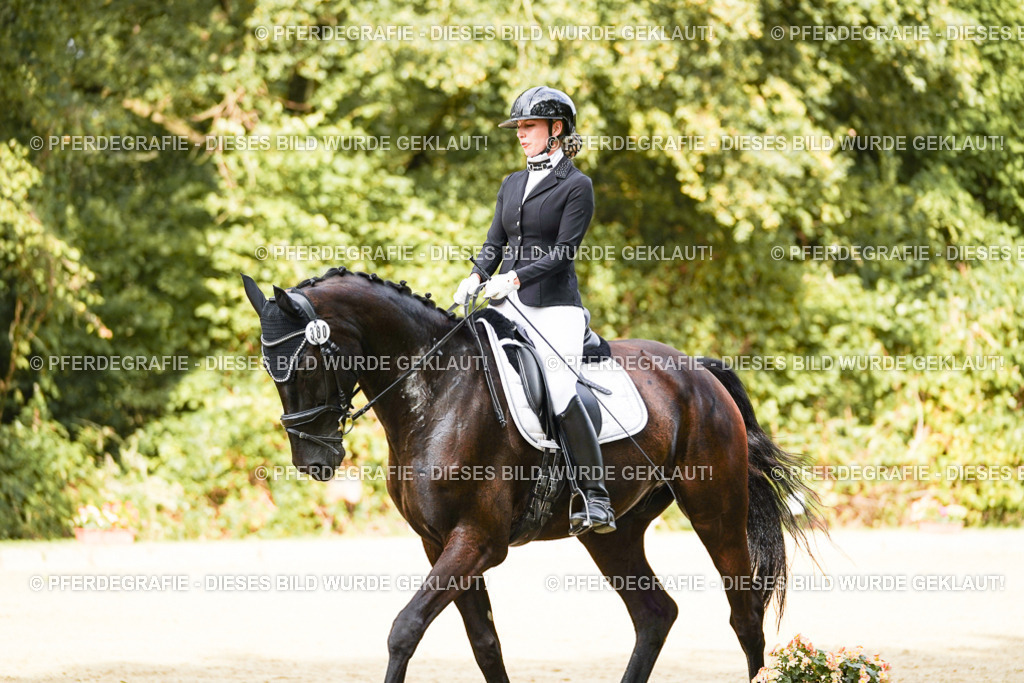 DSC02974 | Pferdegrafie