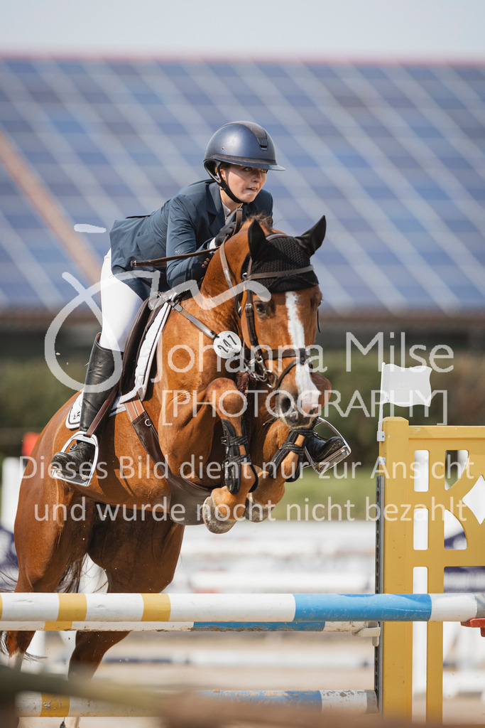 240627_LüPfSpTa_SprPf-M-206 | Deine schönsten Turniermomente als professionelle Fotos! Entdecke hochwertige Pferdesport-Fotografie im Online-Shop. Jetzt Fotos finden & bestellen!